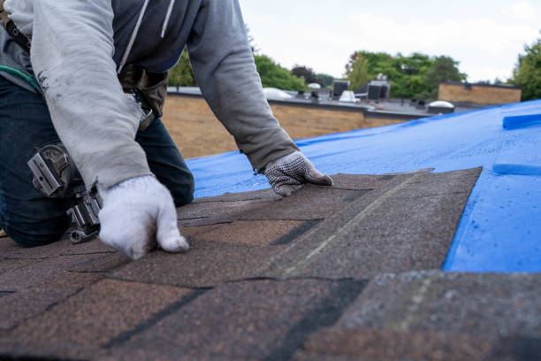 Best Chimney Flashing Repair  in Cleveland Heights, OH